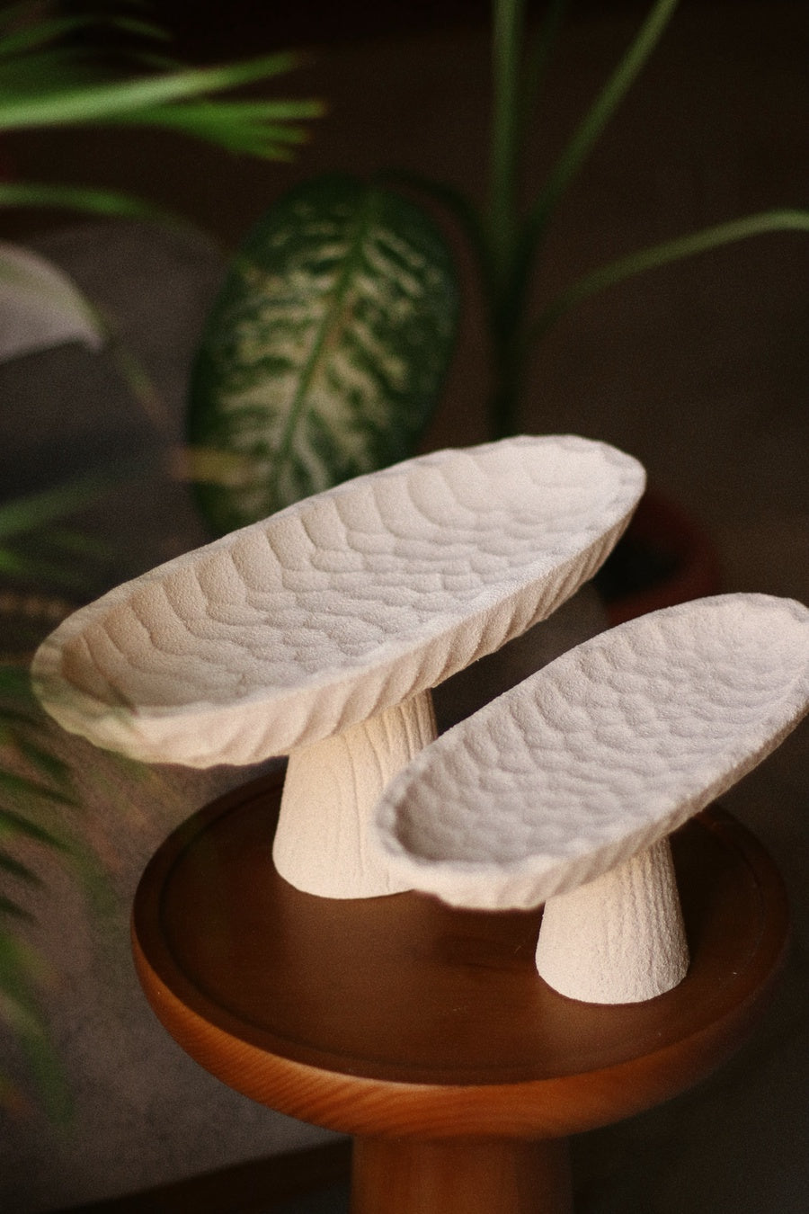 Tabletop Tray