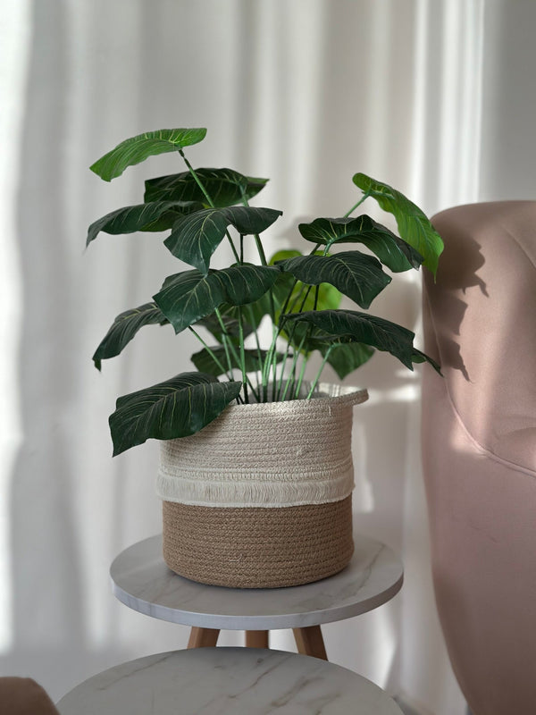 Boho Rope Planter Basket