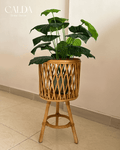 Eco Bamboo Stand