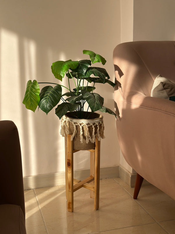Baskets & Planters