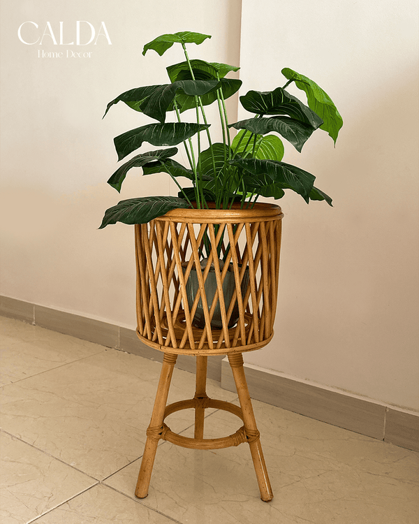Eco Bamboo Stand