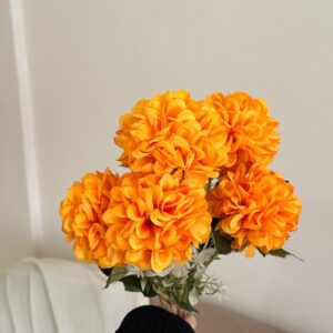 Dahlia Flower