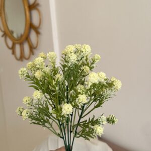 Baby Flowers