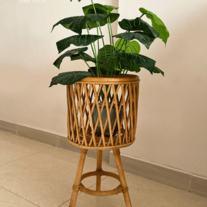 Eco Bamboo Stand