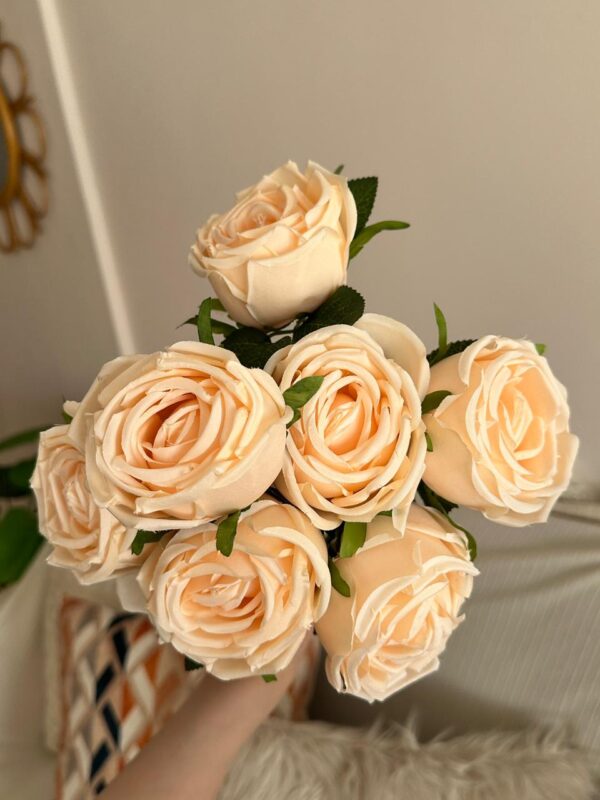 Peach Blush