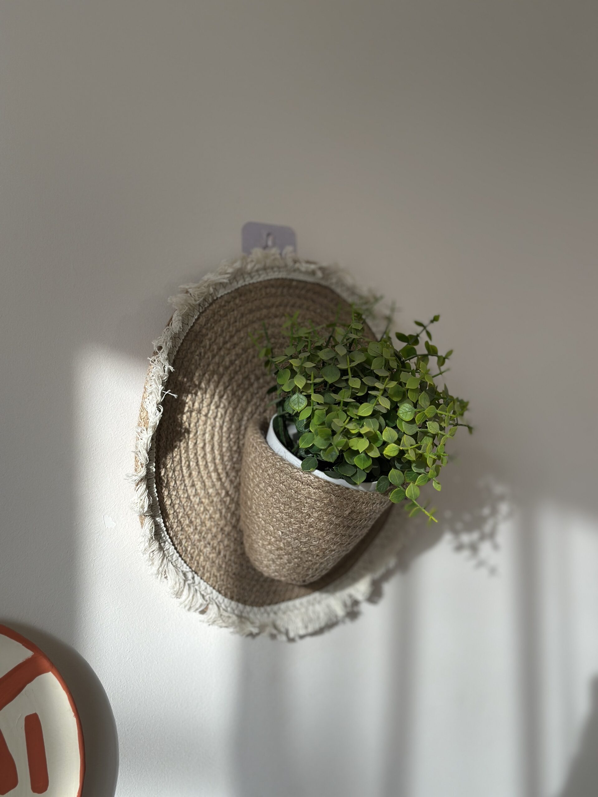 Boho Wall Planter