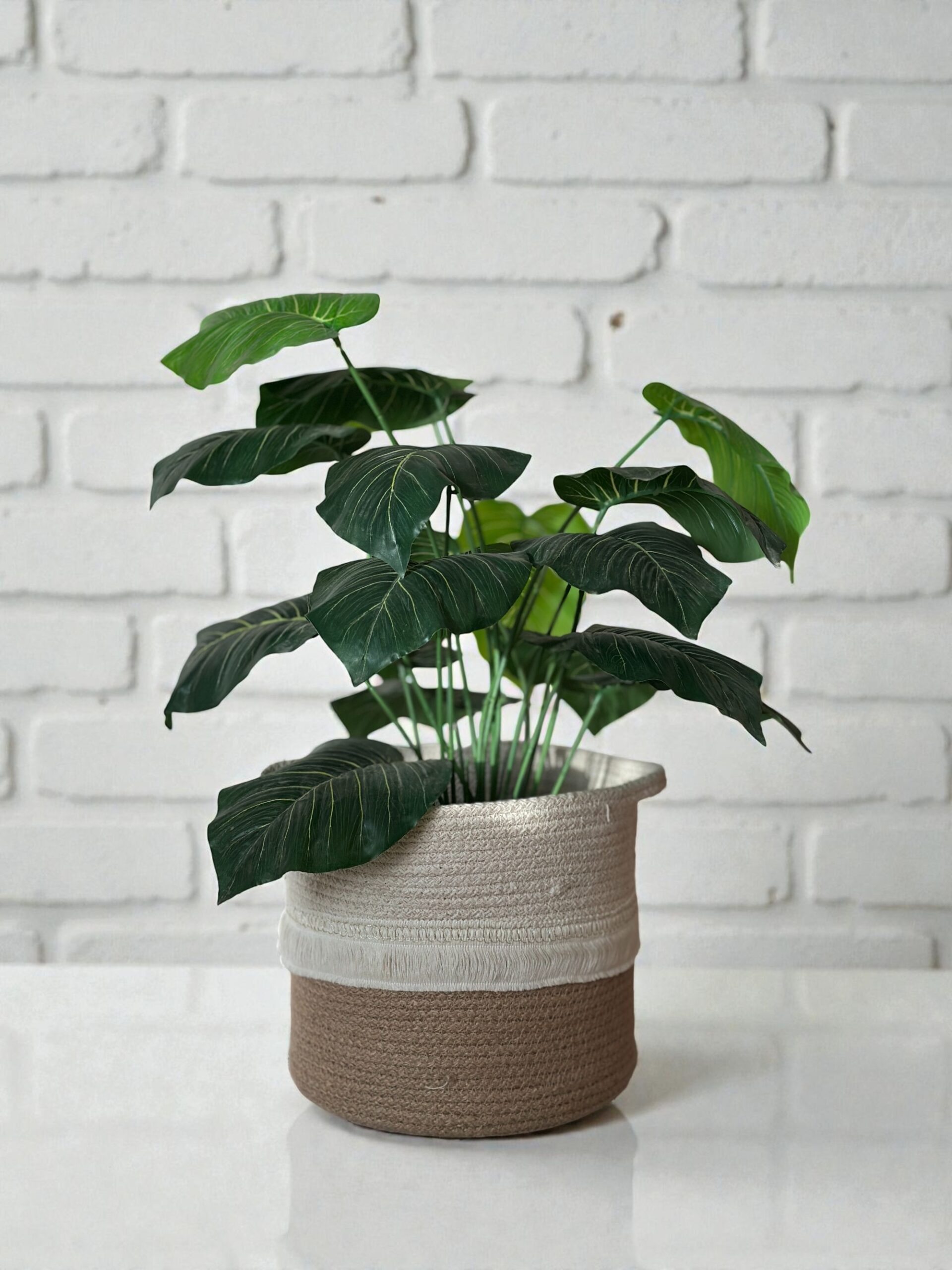 Boho Rope Planter Basket - Image 3