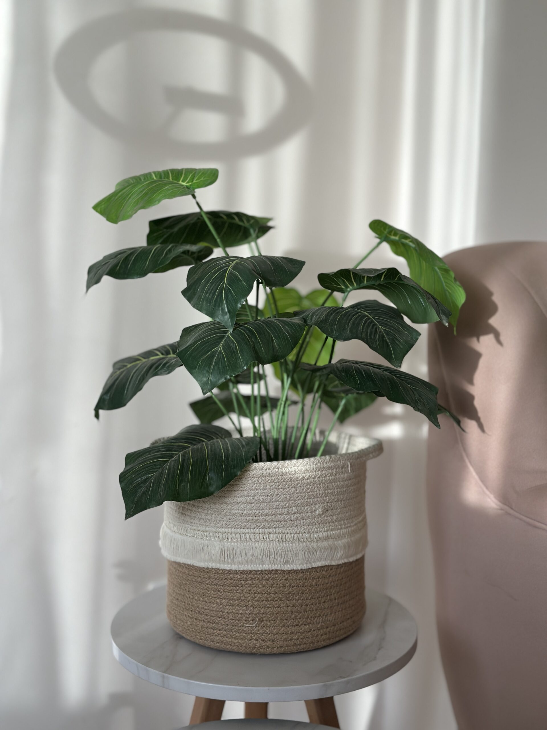 Boho Rope Planter Basket