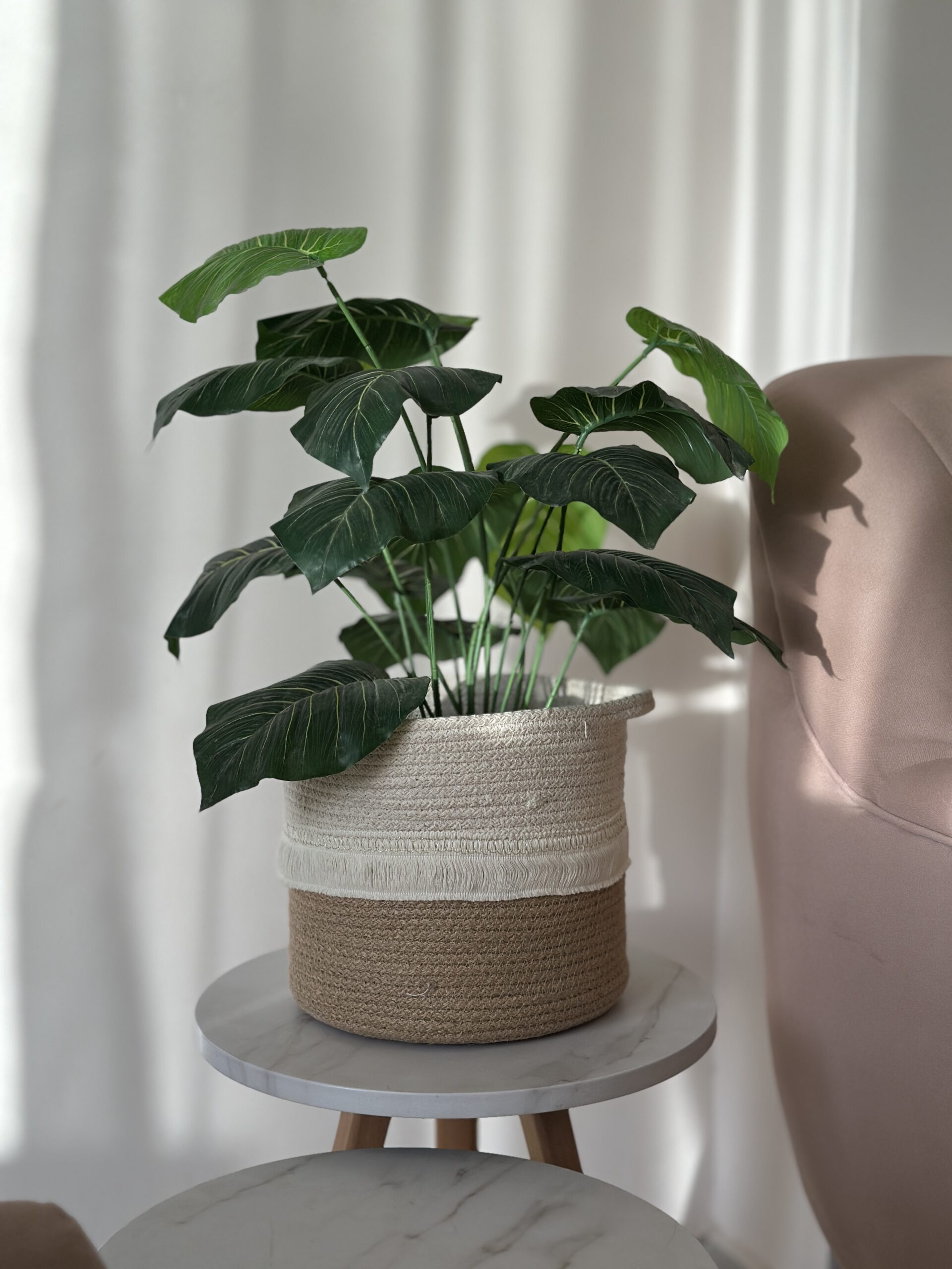 Boho Rope Planter Basket