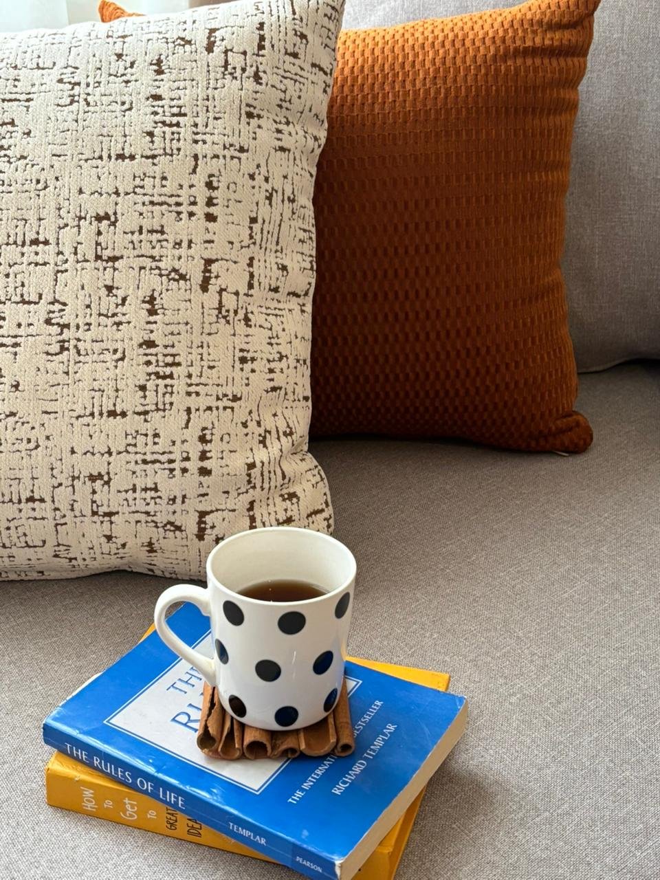 Soft Velvet Decorative Cushion - Image 5