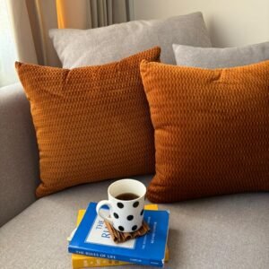 Premium Velvet Decorative Cushion, Terracotta